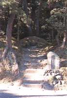 岡倉天心の墓地の写真