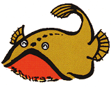 アンコウ