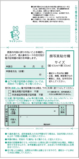 shinsei2.jpg
