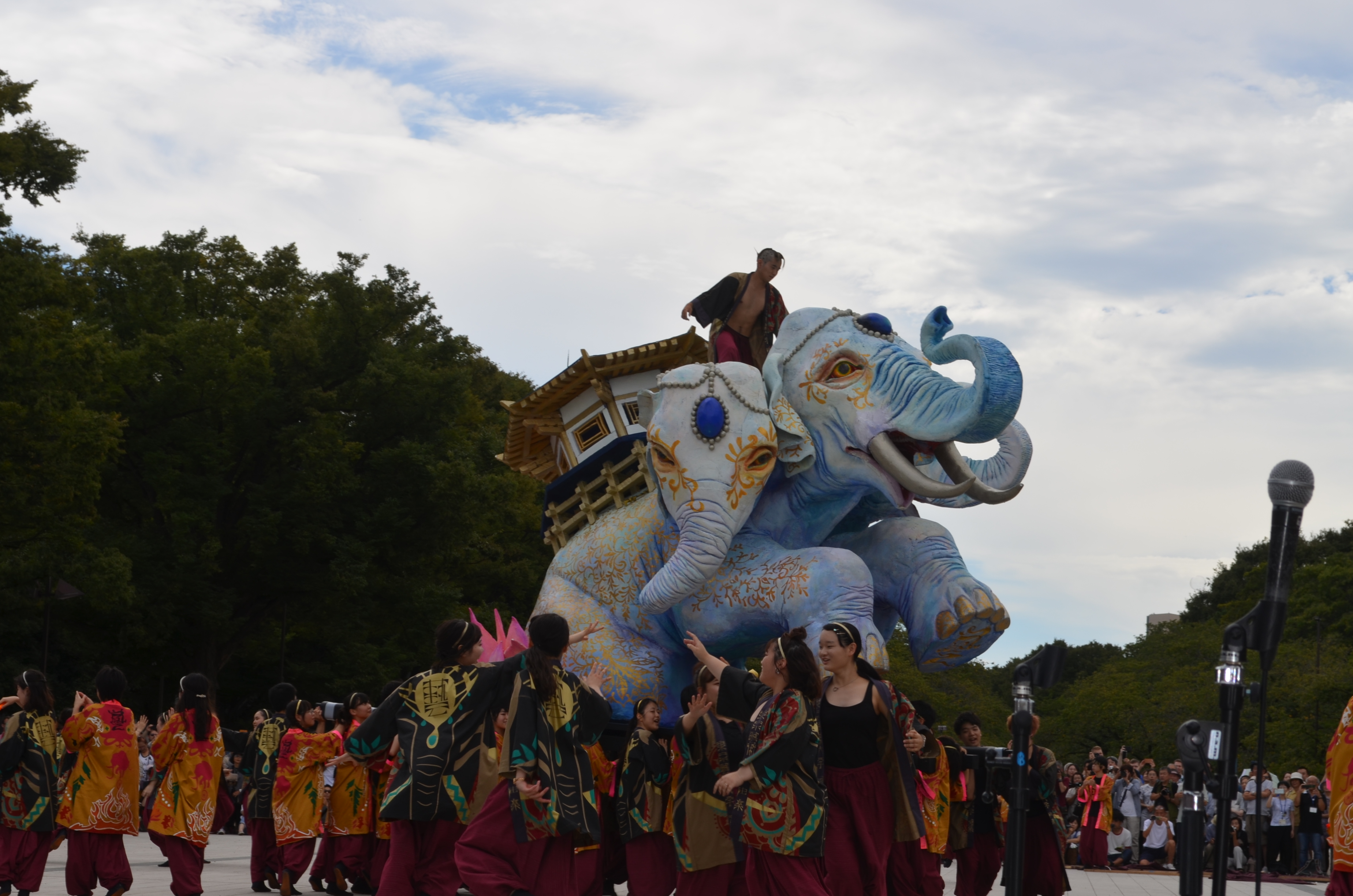 12 象パフォーマンス