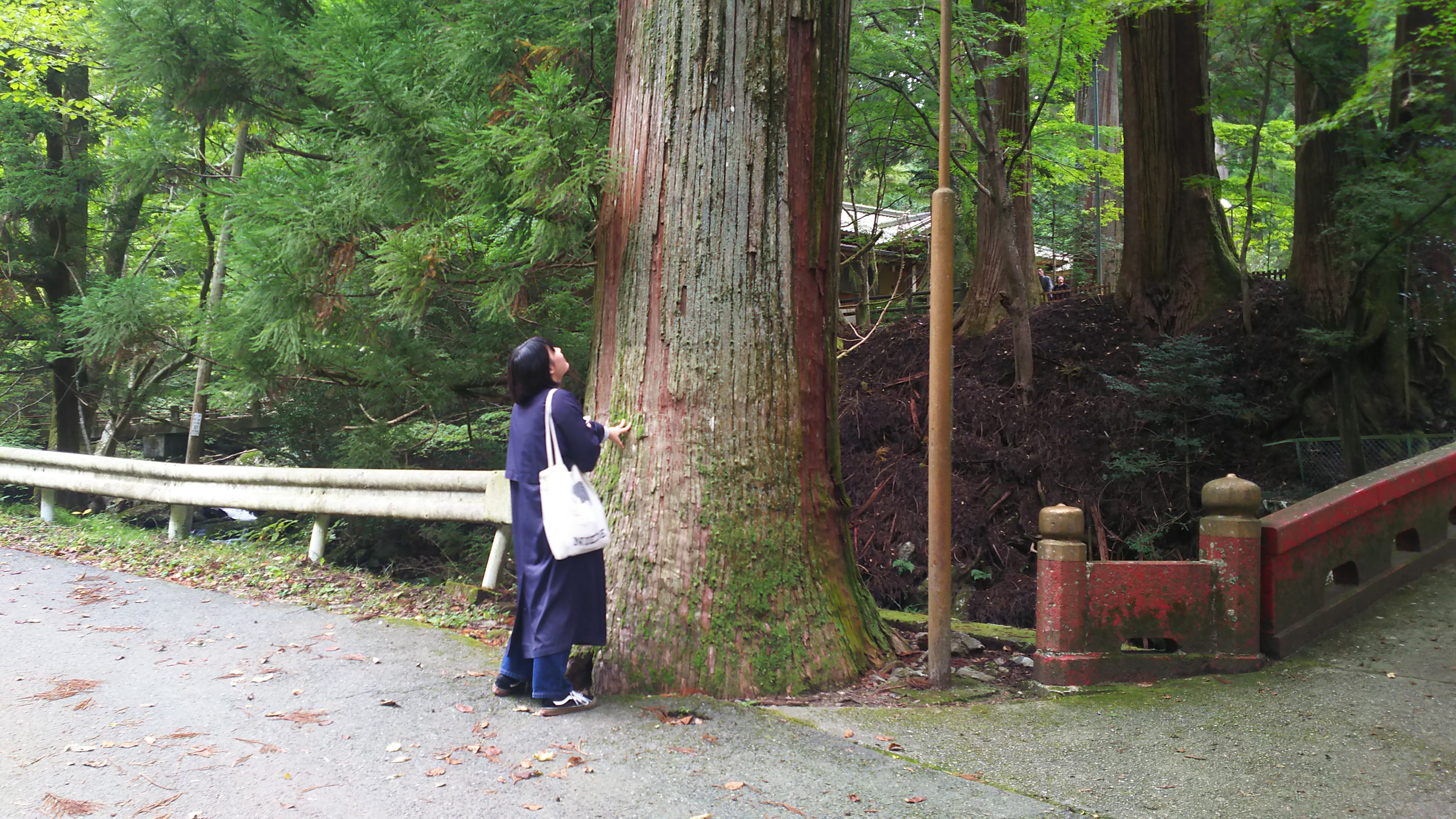 06 花園神社１