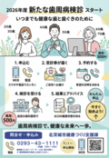 チラシ